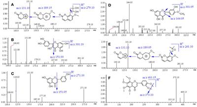 Multi-Component Comparative Pharmacokinetics in Rats After Oral Administration of Fructus aurantii Extract, Naringin, Neohesperidin, and Naringin-Neohesperidin